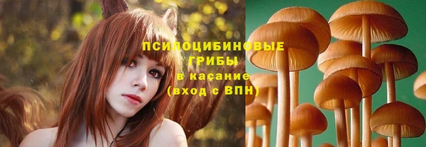 PSILOCYBIN Алексеевка