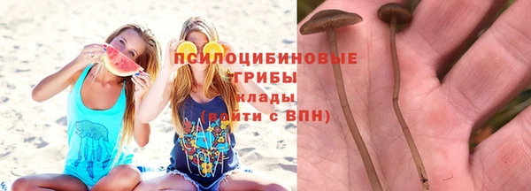 экстази Алексин