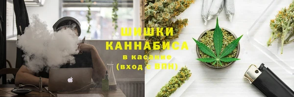 PSILOCYBIN Алексеевка