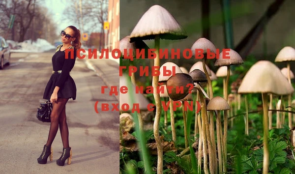 дмт Алзамай