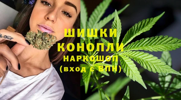 PSILOCYBIN Алексеевка