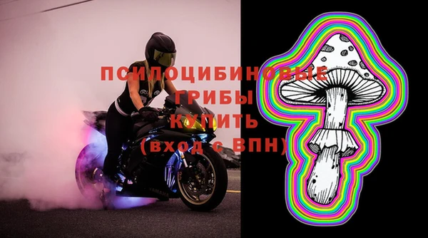 дмт Алзамай