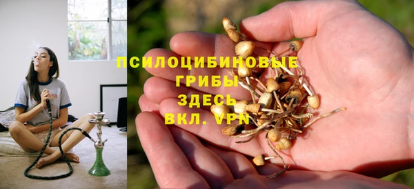 дмт Алзамай
