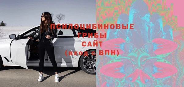 дмт Алзамай