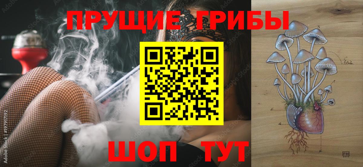 Прохладный  Галлюциногенные грибы Psilocybine cubensis  Вход с VPN 