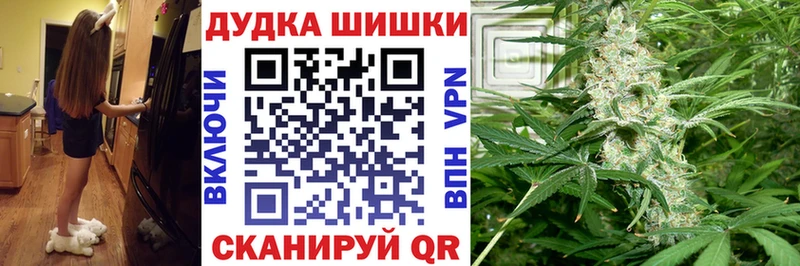 Шишки марихуана план  omg зеркало  Прохладный 