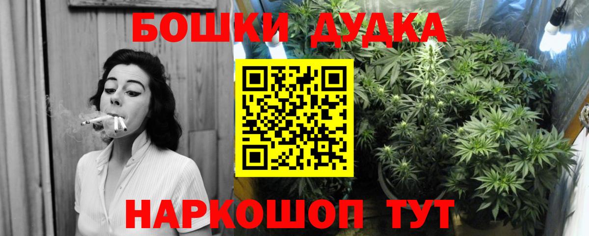 МАРИХУАНА сатива Прохладный
